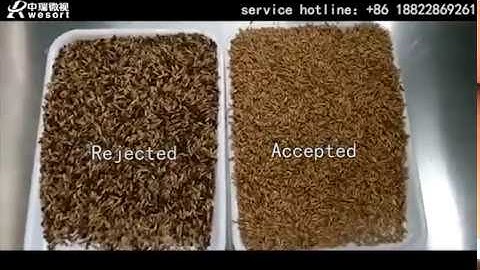 Wesort paddy color sorting machine-first sorting ,optical sorter machine for paddy