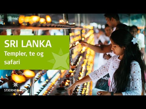 Video: Teplantager. Seværdigheder i Sri Lanka: teplantager