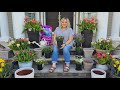 Planting spring porch pots why you should use perennials in your containers  hummingbird syrup