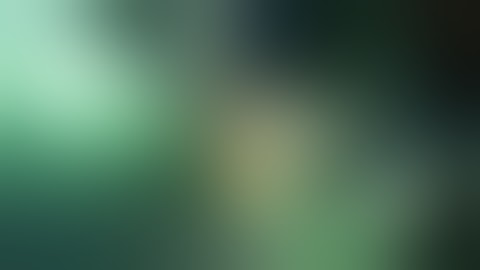 retroperitoneoscopic pyelolithotomy