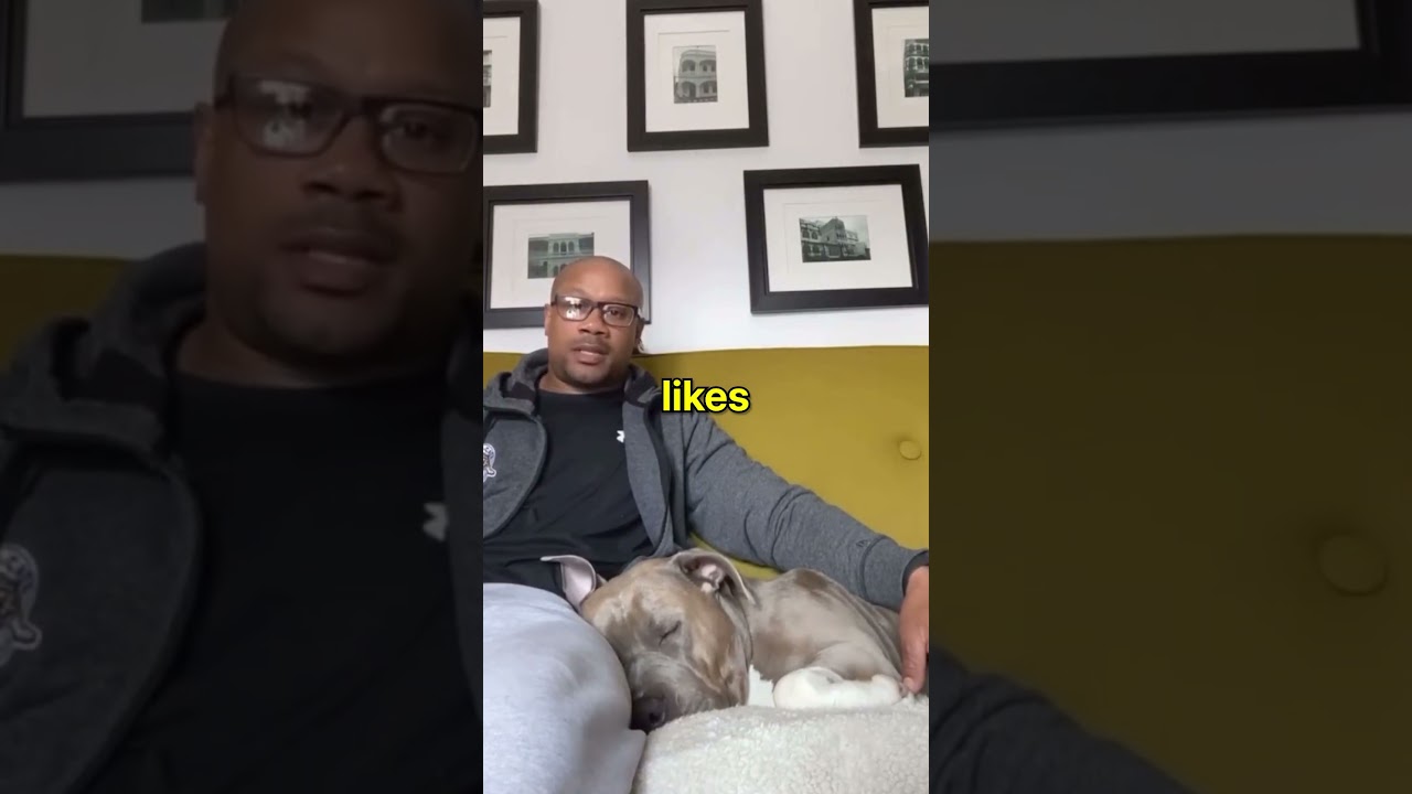 Dogs Favorite Word