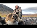 My Dall Sheep / Grizzly Bear hunt in the Wrangell Mountains Alaska