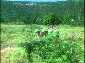 Nandi Ka Ghoonghroo Bole Full Song Sant Gyaneshwar Nandi Ka Ghoonghroo Bole Full Song Sant Gyaneshwar