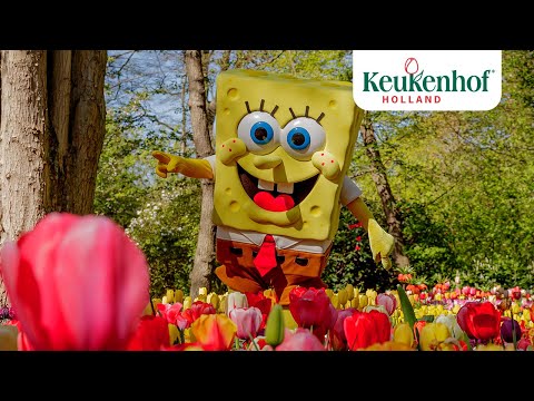 SpongeBob SquarePants in Keukenhof!