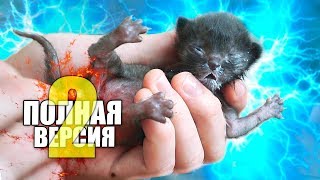 Спасение новорожденного котенка. Полная версия 2 / SANI vlog