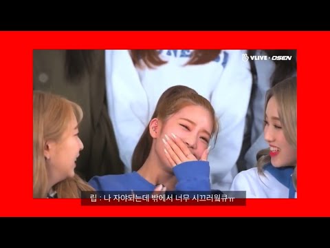 [이달의소녀 김립] 눈은 반 감겼지만 졸린 것은 아니여