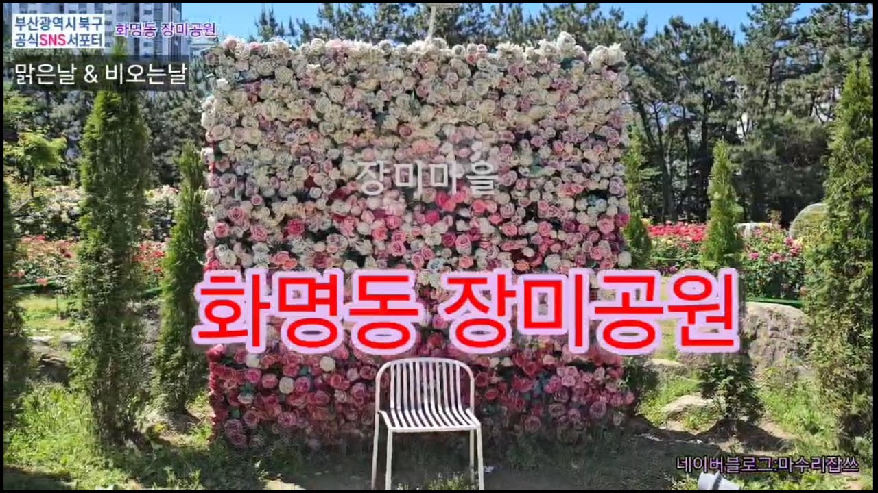 #장미공원#화명장미공원#화명동장미공원#북구SNS서포터즈#북구청#부산갈곳#화명도서관
