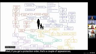 The Role of APIPs in the Coordinated Community Response