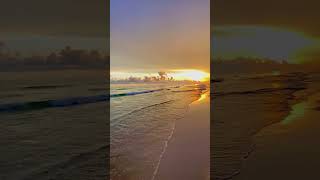 Emotional Quotes | In the Midst of the Storm: Empowering Quotes for YouTube Creators