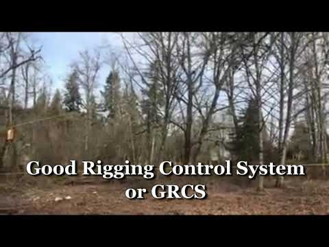 r&h-tree-service-portland-oregon-dead-alder-tree-removal