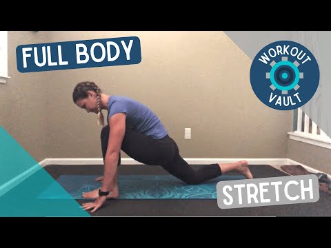 Full Body Stretch | The Workout Vault