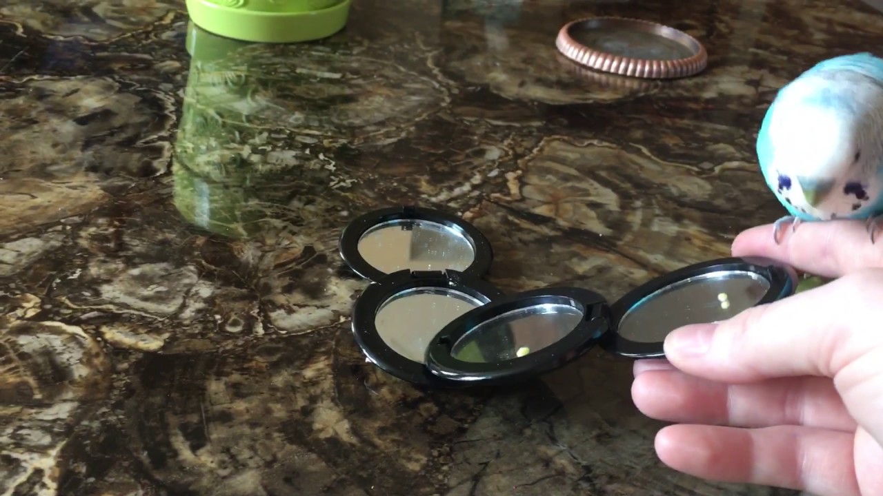 camera iphone 8 plus apk Nimbus throws up on my hand