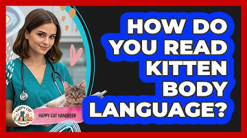 How Do You Read Kitten Body Language?