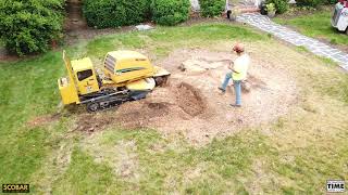Stump grinding time lapse by Scobar Stumps