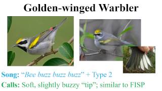 CEAP birds - warblers screenshot 3