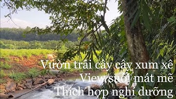 Kẹt tiền cắt bán 3 sào view suối xã láng lớn huyện châu Đức tỉnh bà rịa Vũng tàu giá tốt