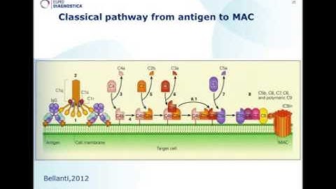 ALPCO Complement System Webinar 23APR13