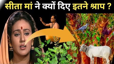माता सीता ने क्यूँ दिए श्राप ब्राह्मण, गाय,तुलसी व नदी को ? #sarvosanatan11