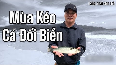 Phần 6 | Mùa kéo cá đối tại bãi biển mân Thái sơn trà #langchaisontra