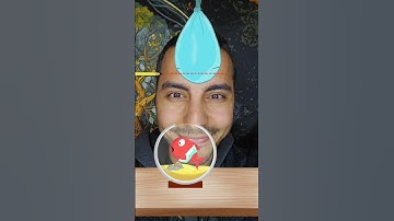 Help cartoon fish brain test puzzle game #game #puzzlegame #puzzle #braintest #iqtest #shortsgame