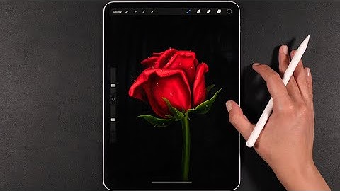 How to Draw a Realistic Rose with Procreate and iPad Pro