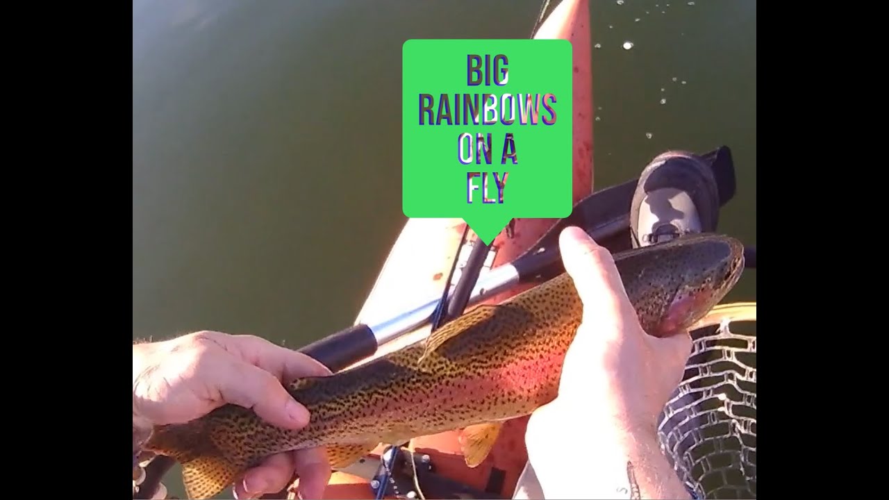 Fly Fishing Eastern WA with a Balanced Leech YouTube