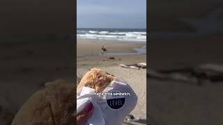 Take a trip to the Oregon Coast on the North Coast Express #oregoncoast #traveloregon
