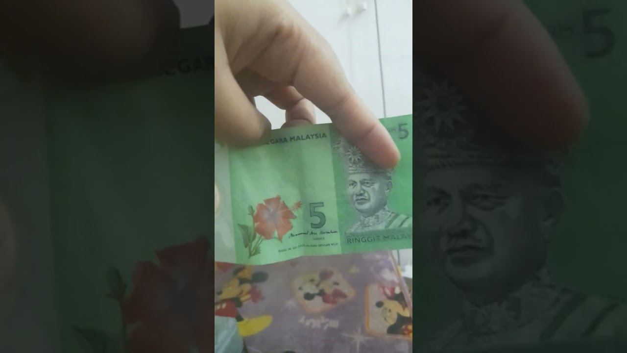 Salary Clean House A Month RM 250