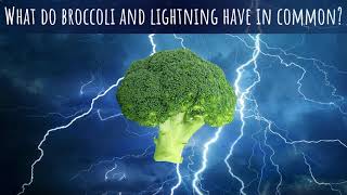 What do broccoli and lightning have in common? | Mathematigals