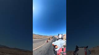 Motorcycle Traveler and Loyal Dog Companion Feeding Abandoned Puppies