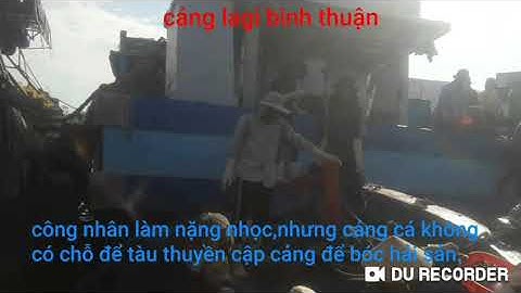 cảng LaGi Bình Thuận không chỗ chen chân