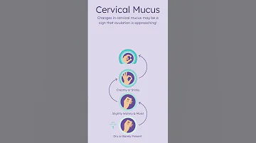 Fertile Cervical Mucus 