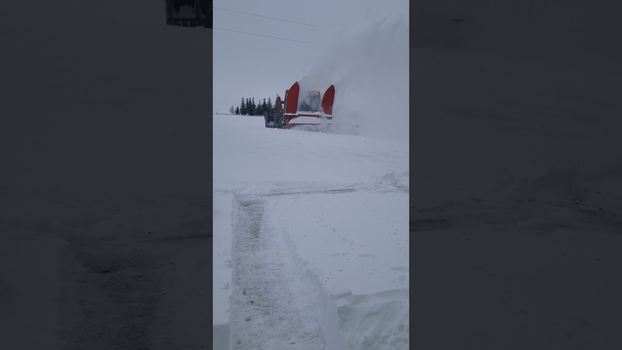 Linn grove IA blizzard 2019 YouTube