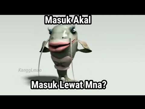 Kompilasi Meme Ikan Lele Bertanya