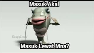 Meme Ikan lele joget