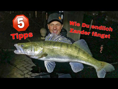 Video: Wo Kann Man Zander Fangen?