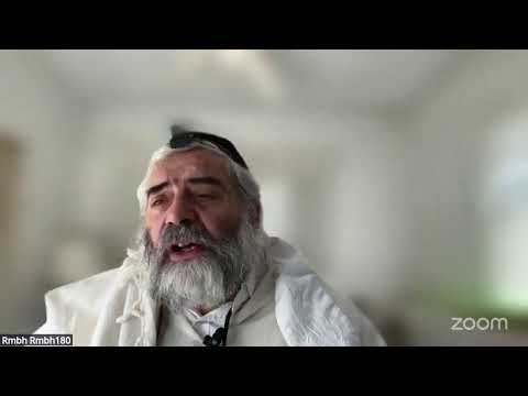 Zevahim 114a - Youtube