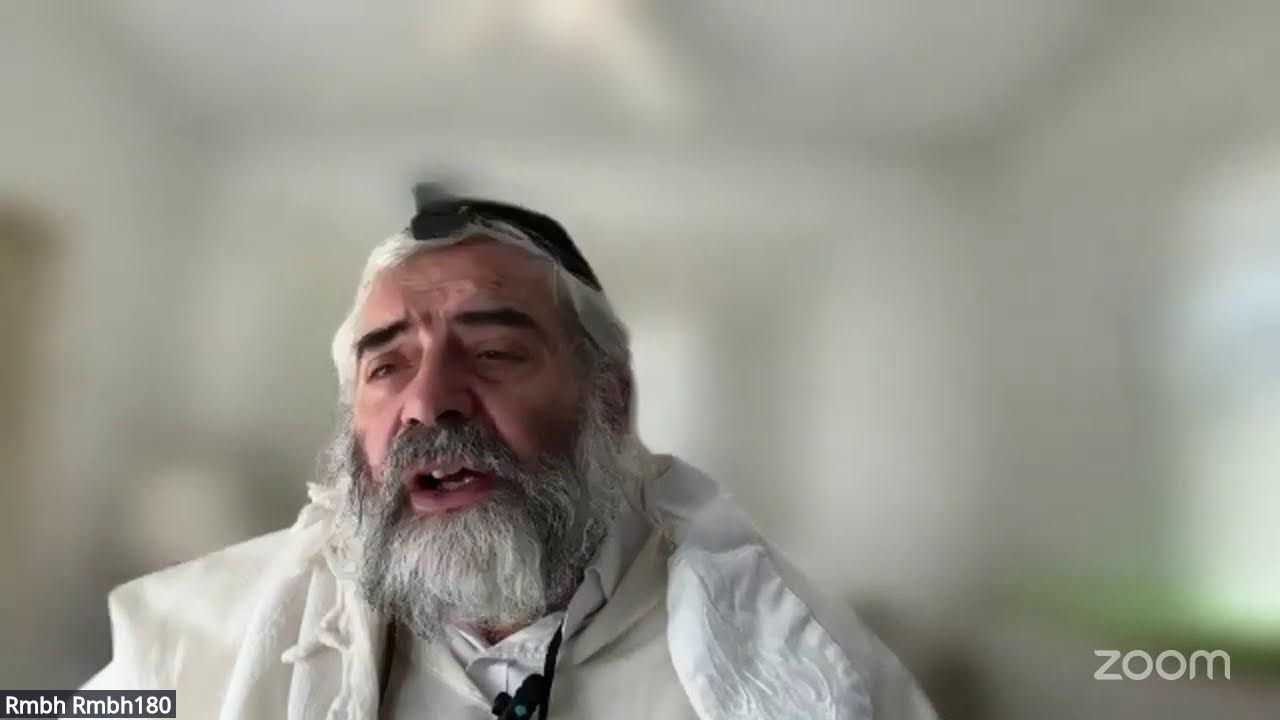 Daf HaYomi - Zevahim 114