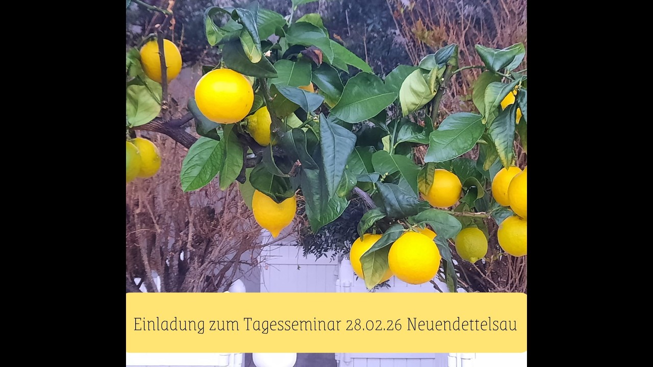 Einladung zum Veeh-Harfen Tagesseminar