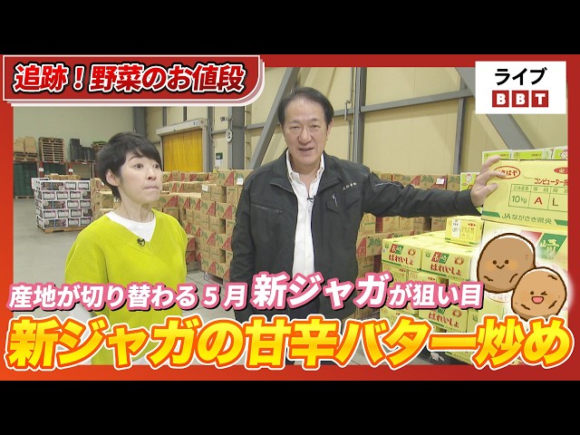 Tracking Vegetable Prices] May is the month when production areas