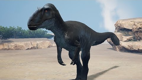 (Gondwa) Yuty Life Final Eps/ Yuty VS Metri & Dasp