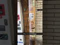 太郎さん大阪を旅してしまう…