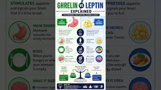 Ghrelin vs Leptin Explained | Hunger Hormone vs Fullness Hormone for Weight Loss & Metabolism