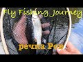 Fly Fishing / Речка Ров / В поисках головля