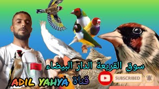 جولة في سوق القريعة الدار البيضاء ??اليوم السبت 6 fér وتعرف على جميع انواع الطيور مع الاتمنة