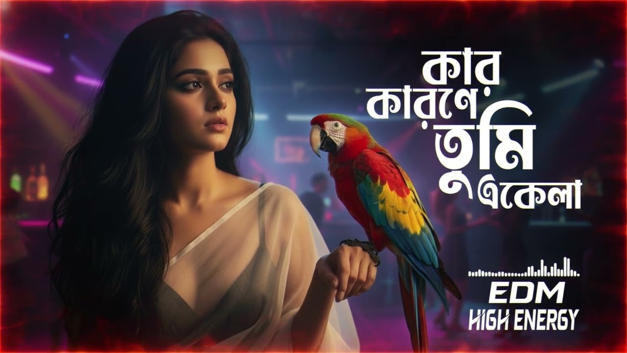 Moyna go || High Energy Electro Dance Mix || Bengali Classic EDM || Lata Mangeshkar