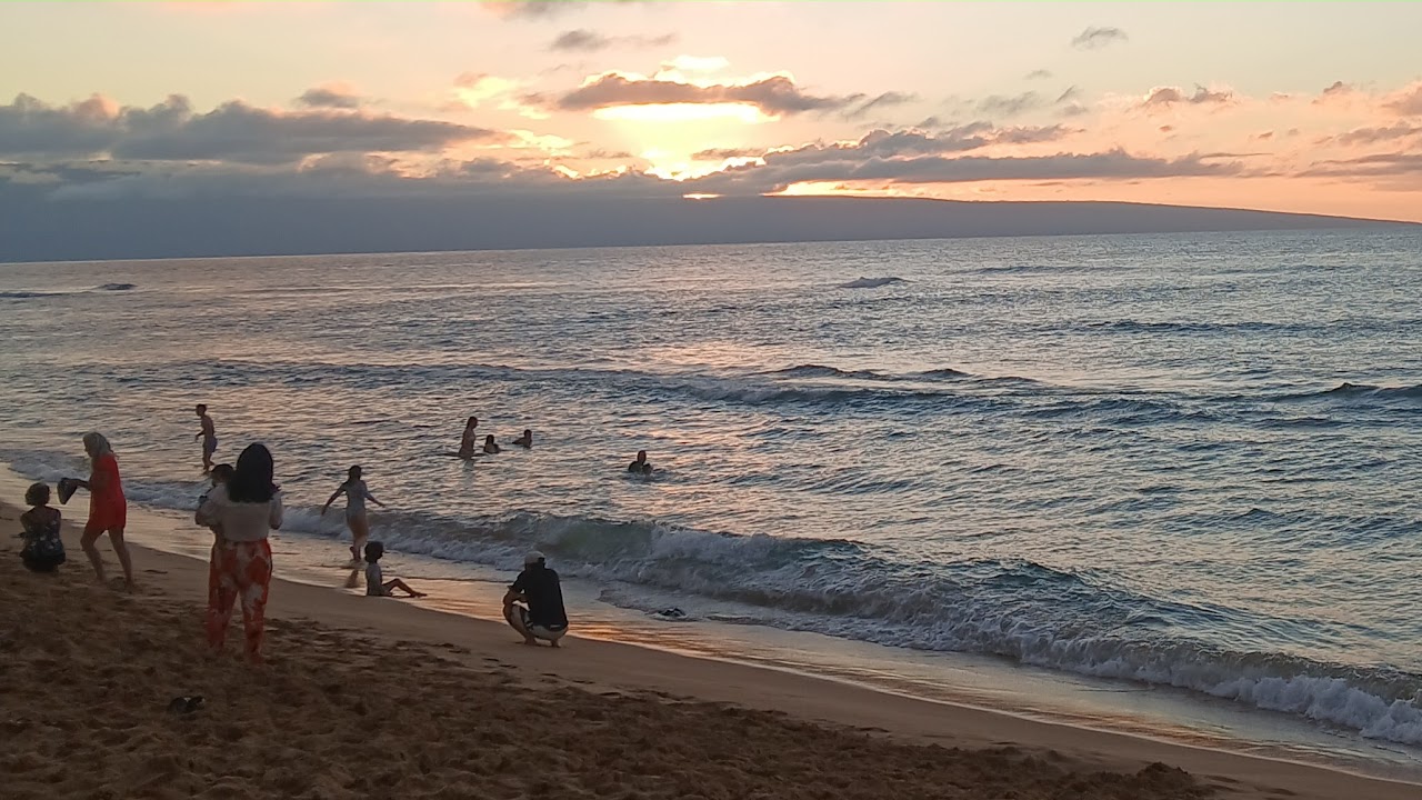 Live streaming of dominique harris