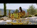 Capture de la vidéo Joyce Jonathan - Les P'tites Jolies Choses [Version Acoustique]