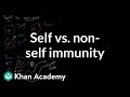 Self vs. non-self immunity | Immune system physiology | NCLEX-RN | Khan Academy
