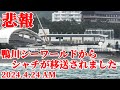 【残念なお知らせ】 鴨川シーワールドのシャチが神戸須磨シーワールドに移送されました・・・  KamogawaSeaWorld  orca killerwhale